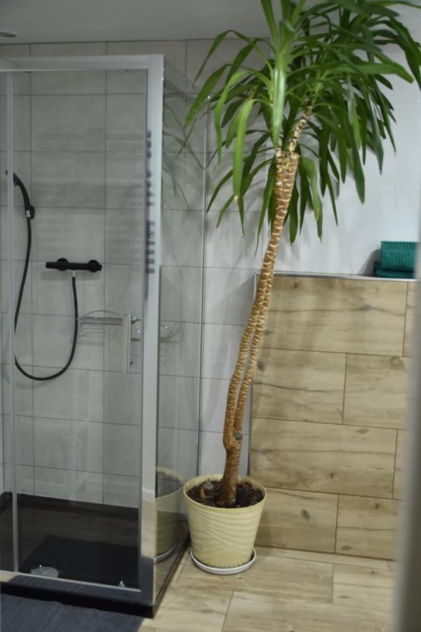 Apartament Centrum Polanica-Zdrój Buitenkant foto